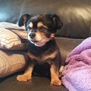 Meet your Posher, Patty